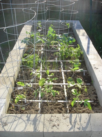 concrete block raised bed marked for square foot gardening