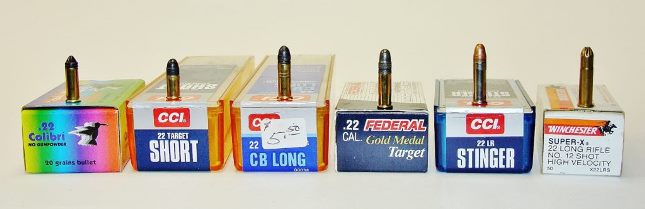 .22 ammo variations
