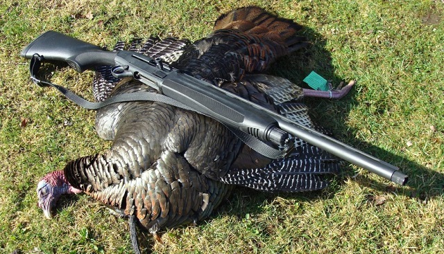 sling on turkey shotgun