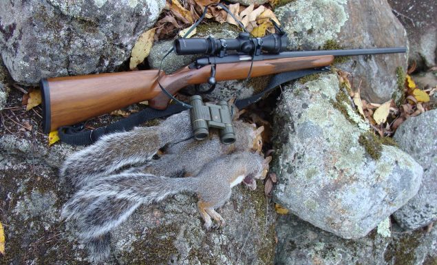 remington squirrel rifle
