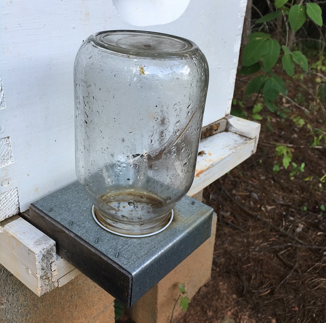 glass bee feeder