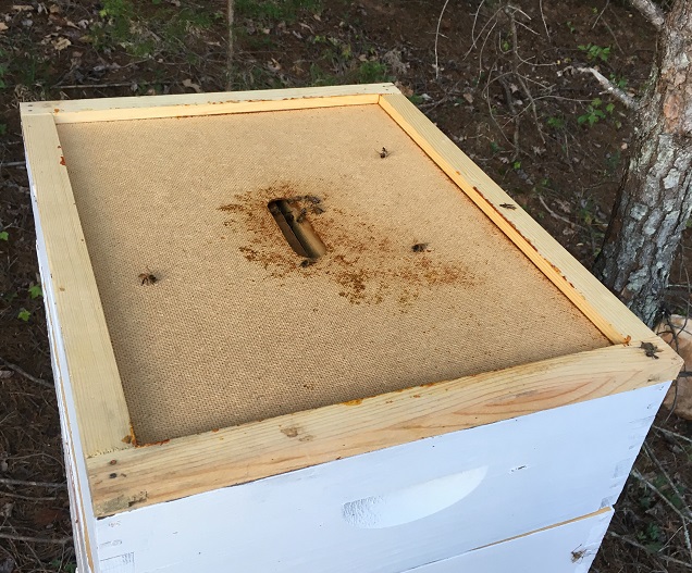 inner hive top cover