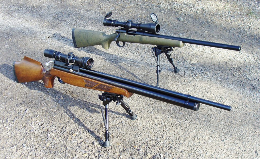 two air rifles