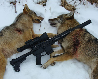 coyote hunting .300 bullets