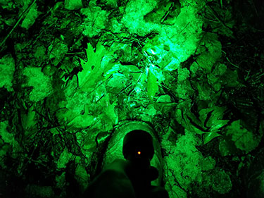 green light boot