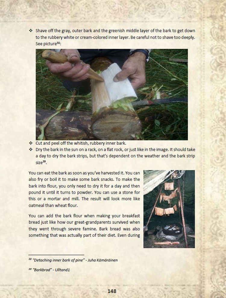 the lost ways review sample page eating bark