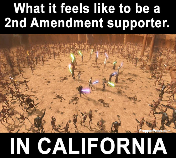 california gun control meme