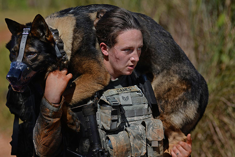 soldier carrying dog in training