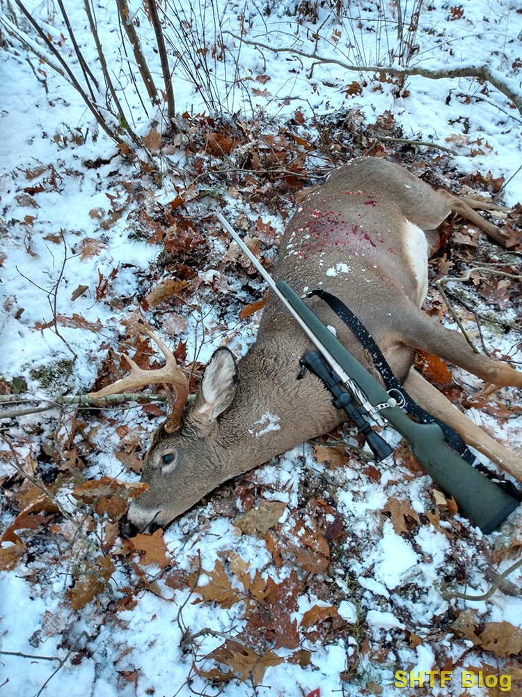 dead deer with a .243