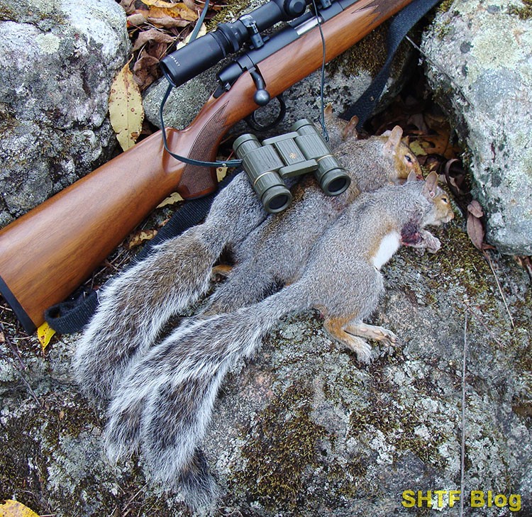 SB 53 DEER 22 Squirrels