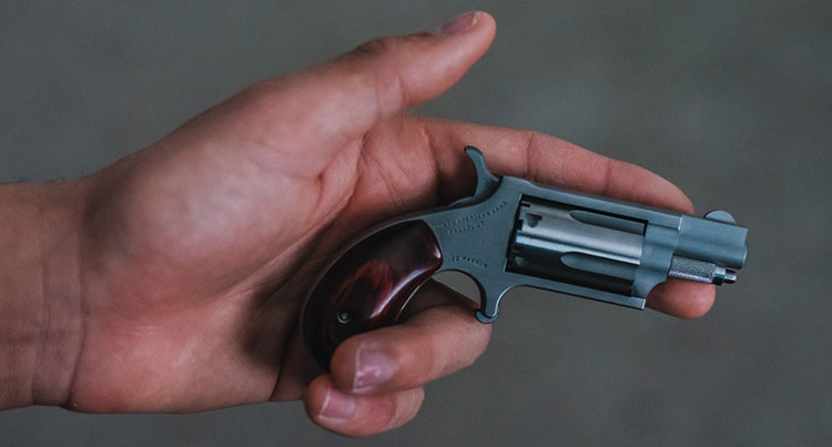 a tiny handgun that can be hidden from sight