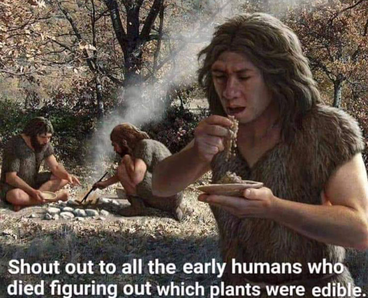 early humans testing food