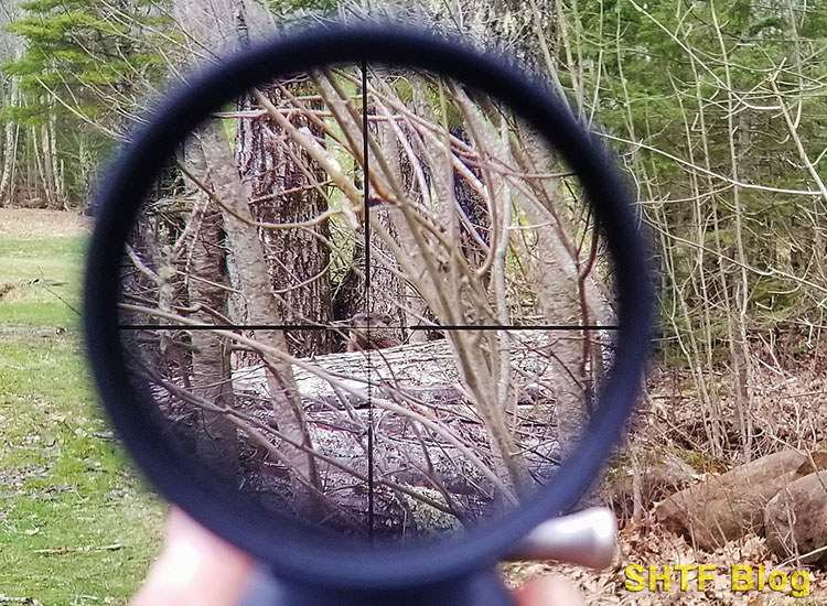 Woodchuck in pistol scope crosshairs