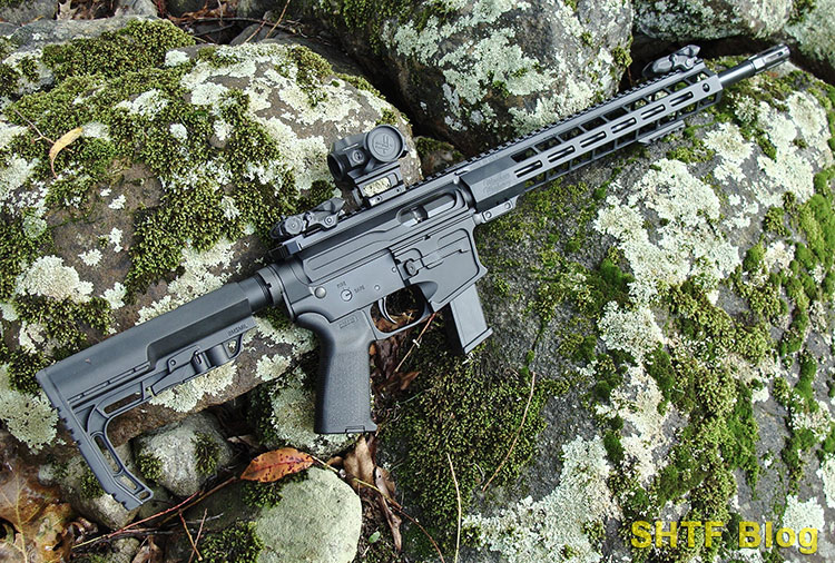 home defense carbine in 9mm AR