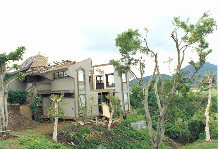 damage from Hurricane Iniki