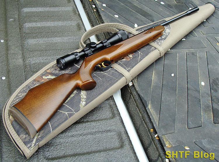 one of a few pre-charged air rifles