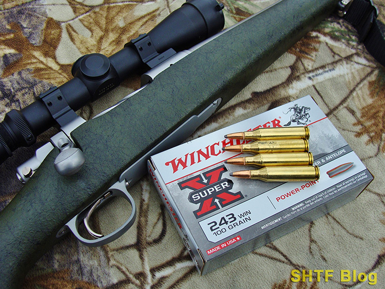 243 ammo for deer