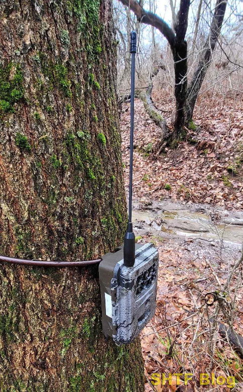 spartan camera mounted to tree with antenna