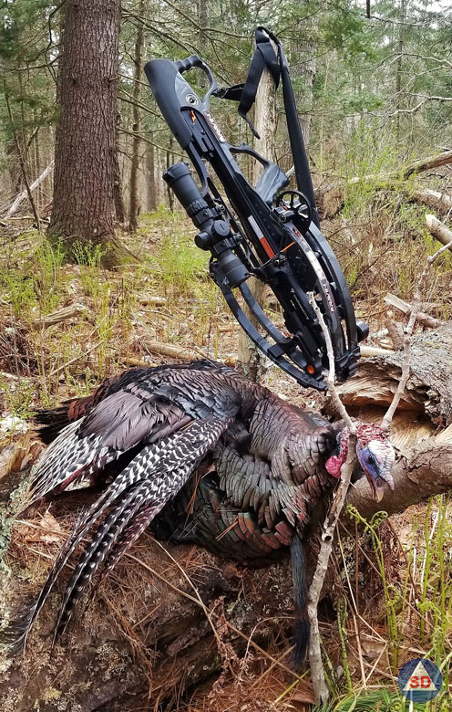 Crossbow and Turkey Ammunition Kart Set Up and Shooting Tips