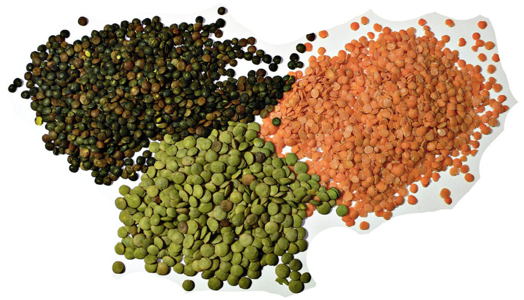 various lentils